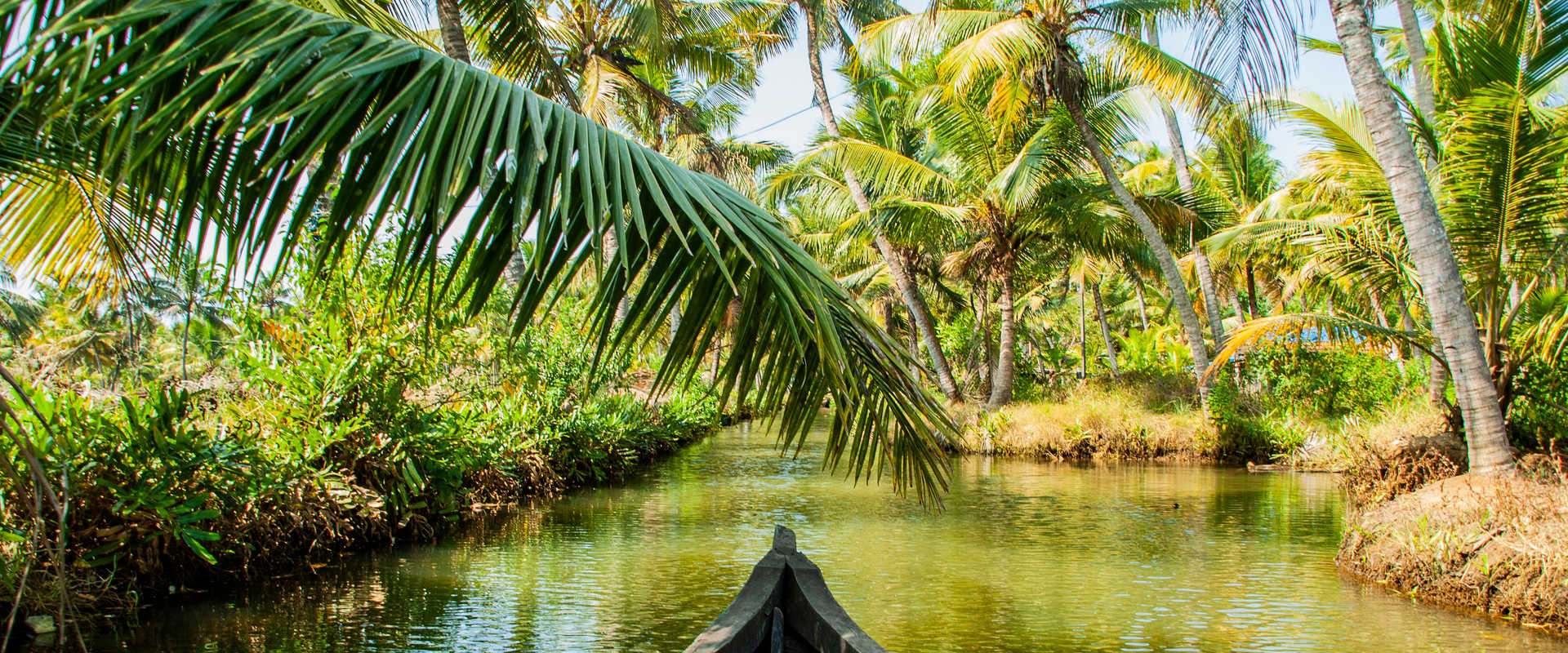 前往蒙罗岛的河上游轮