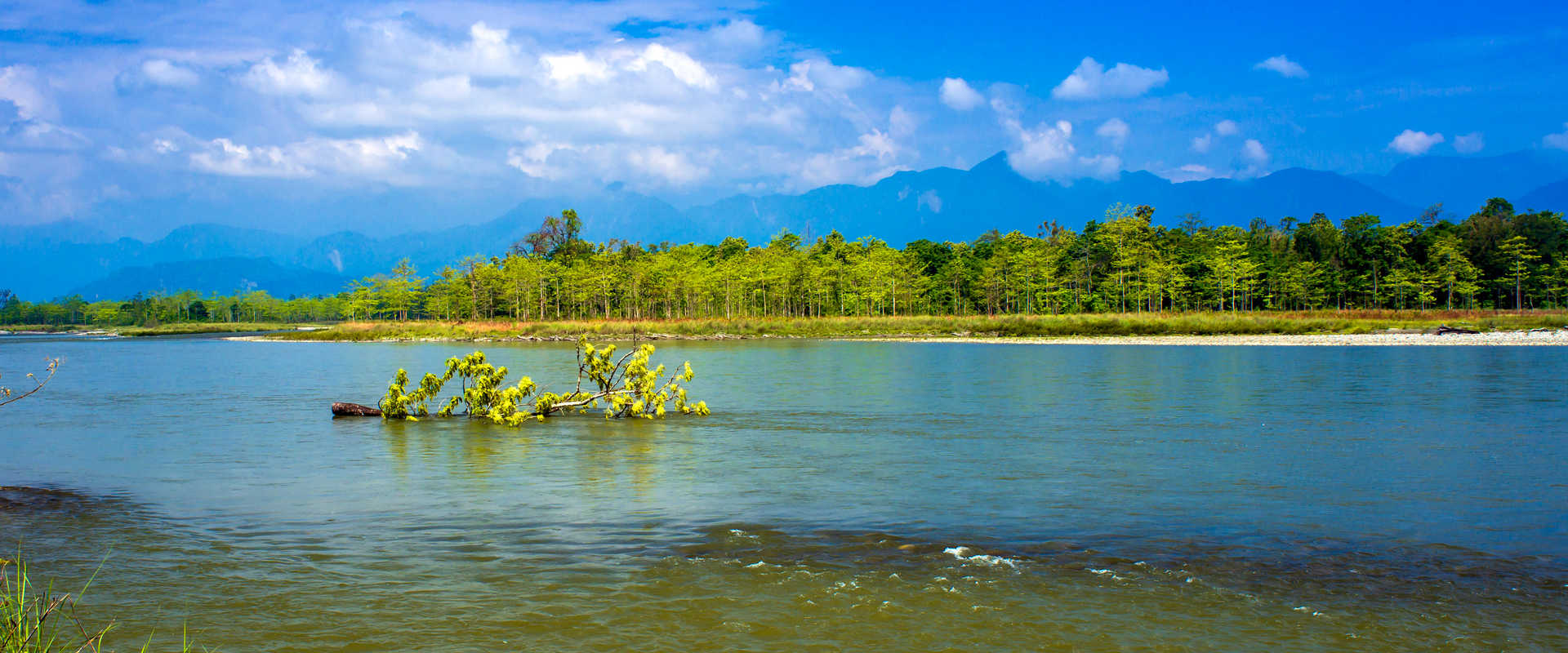 纳梅里的内河游船