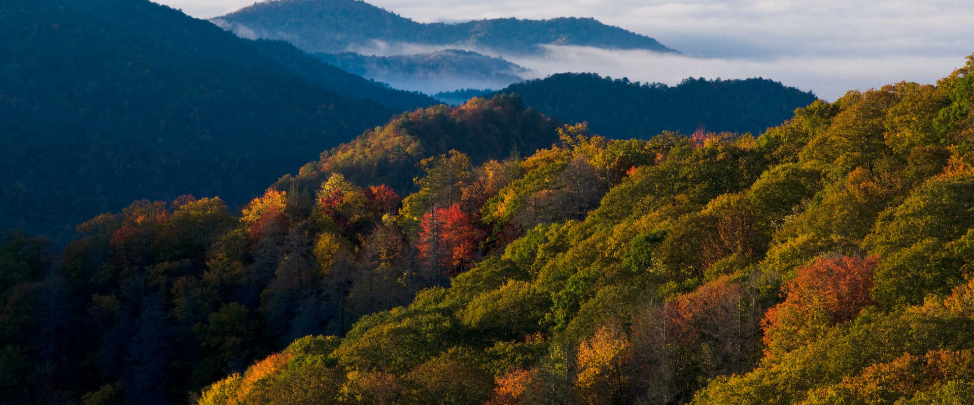 Smoky Mountains