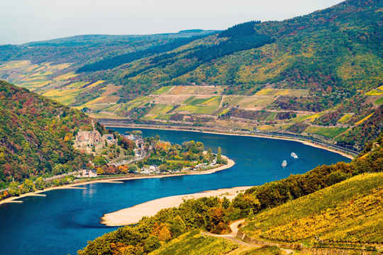 Rhine