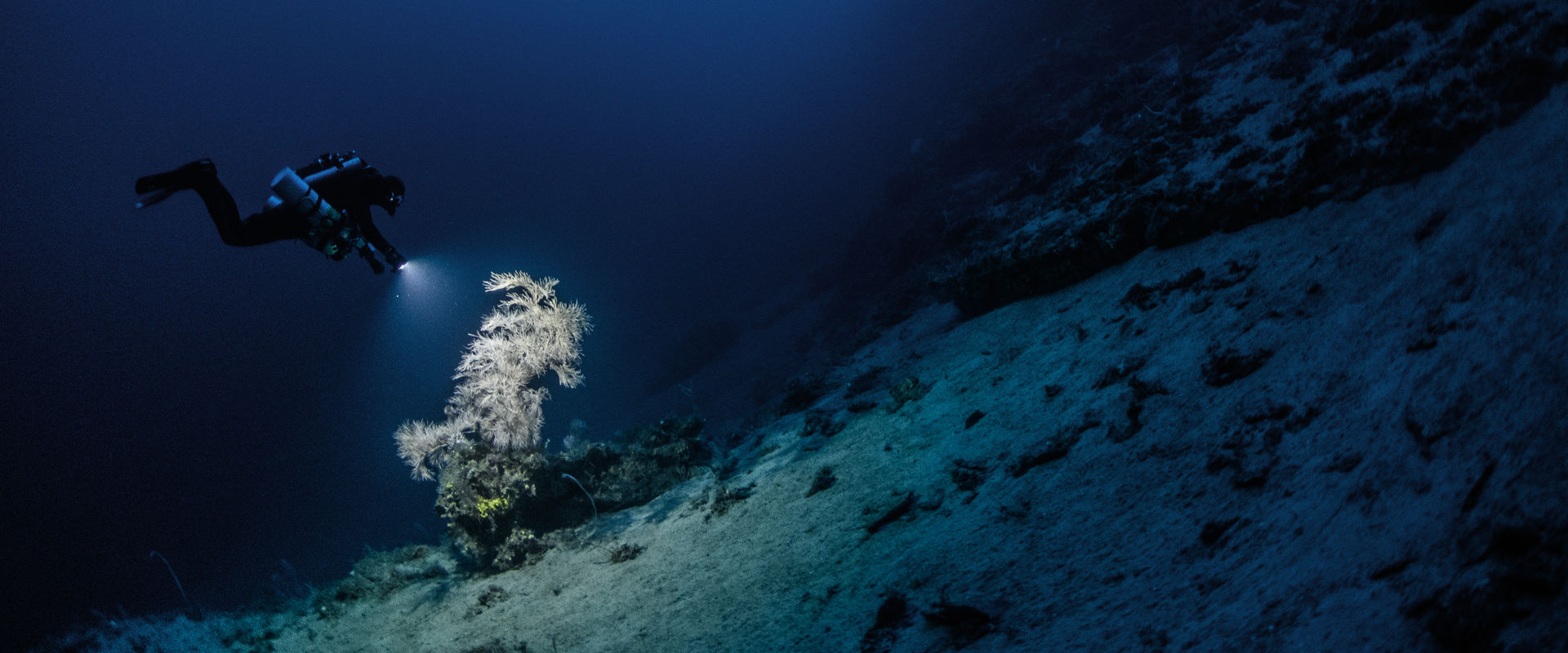 Compare and Book 45,118 cruises easily online