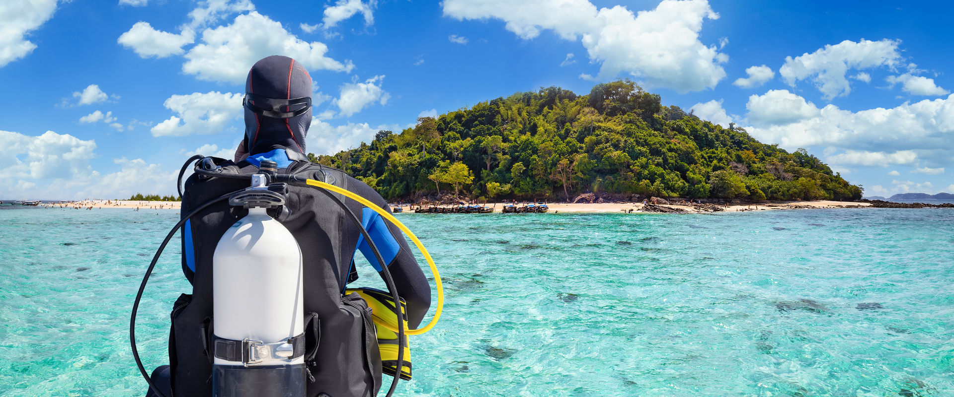 Compare and Book 45,118 cruises easily online