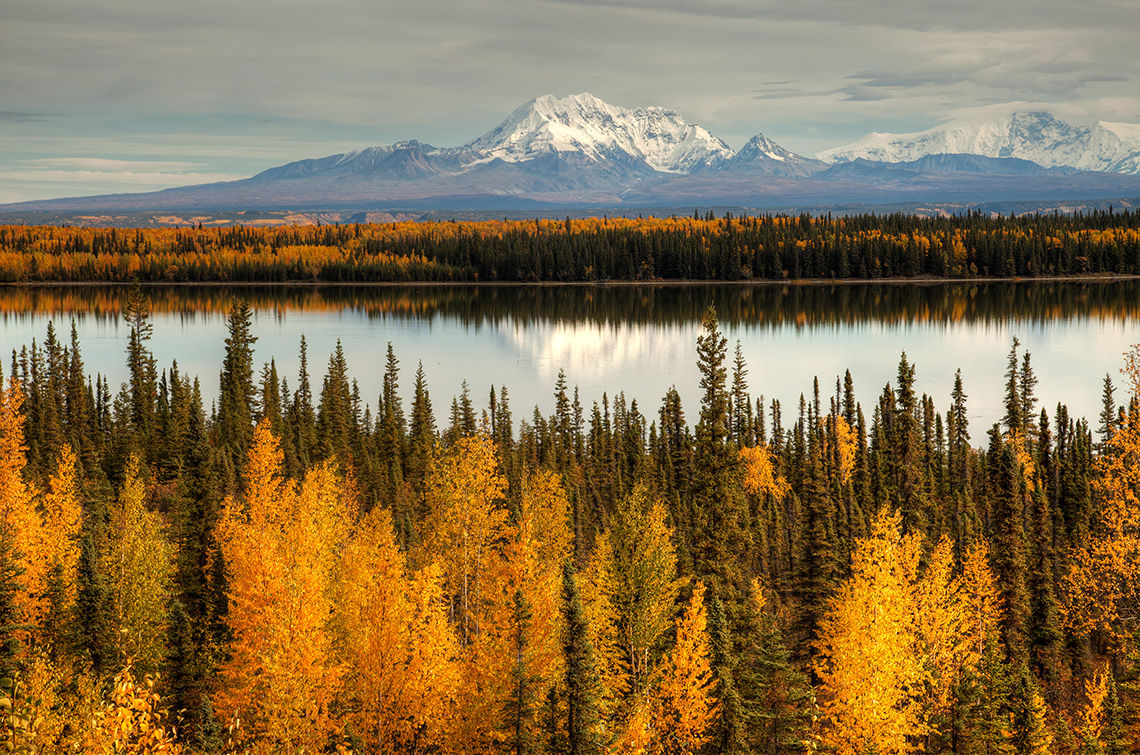 View of mount Wrangell and Zanetti