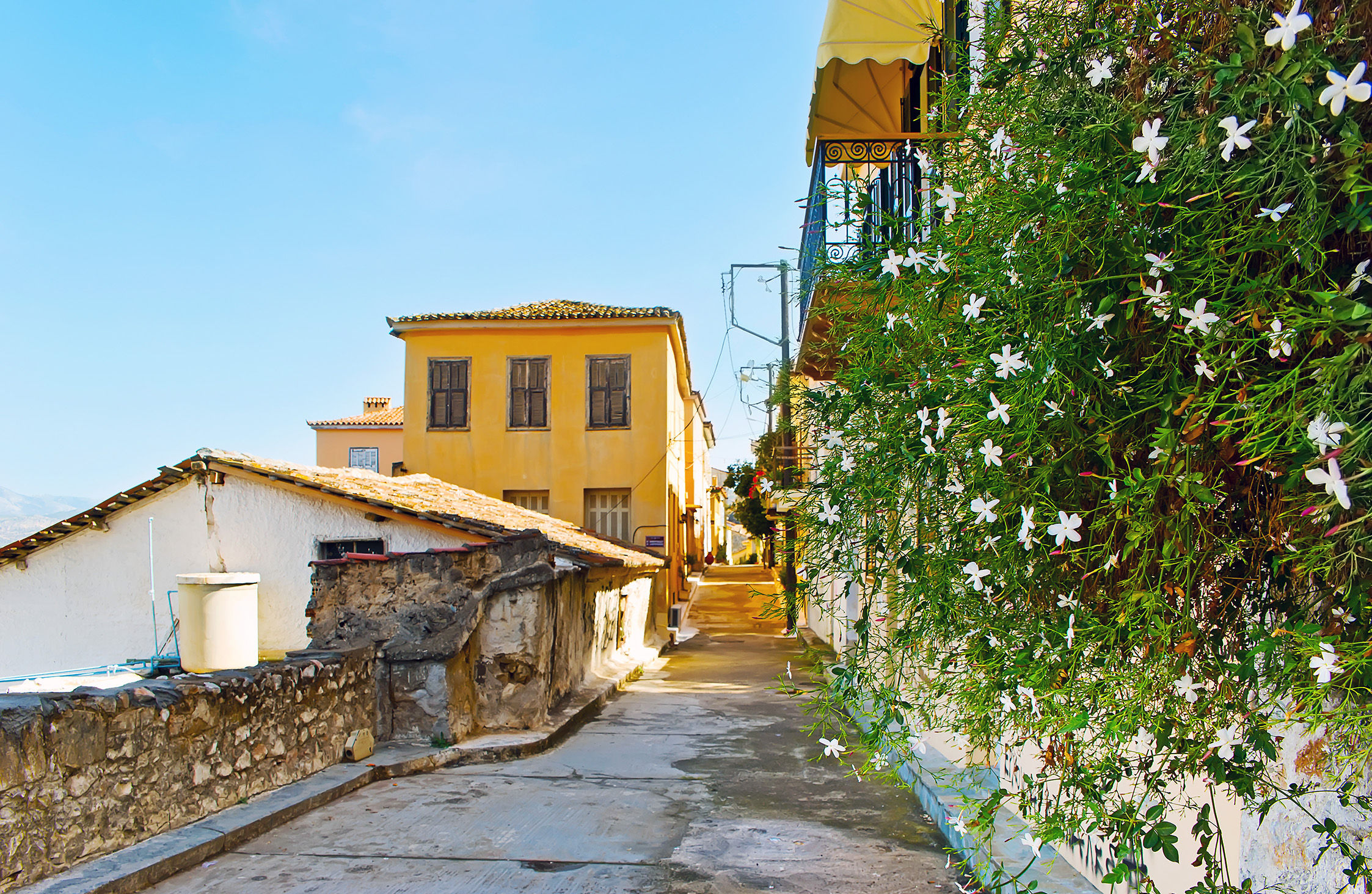 Casas históricas e jasmim em flor, Nafplio, Grécia