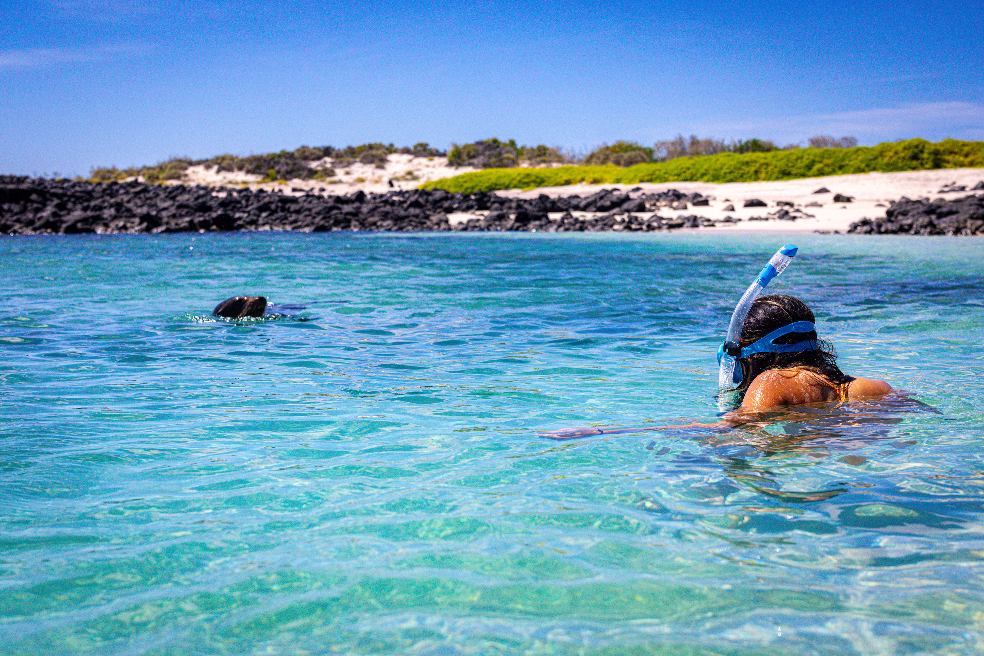 Woman snorkeling with Sea Lion