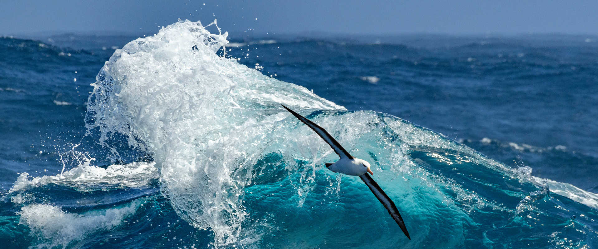 드레이크 해협을 통과하는 어드벤처 크루즈