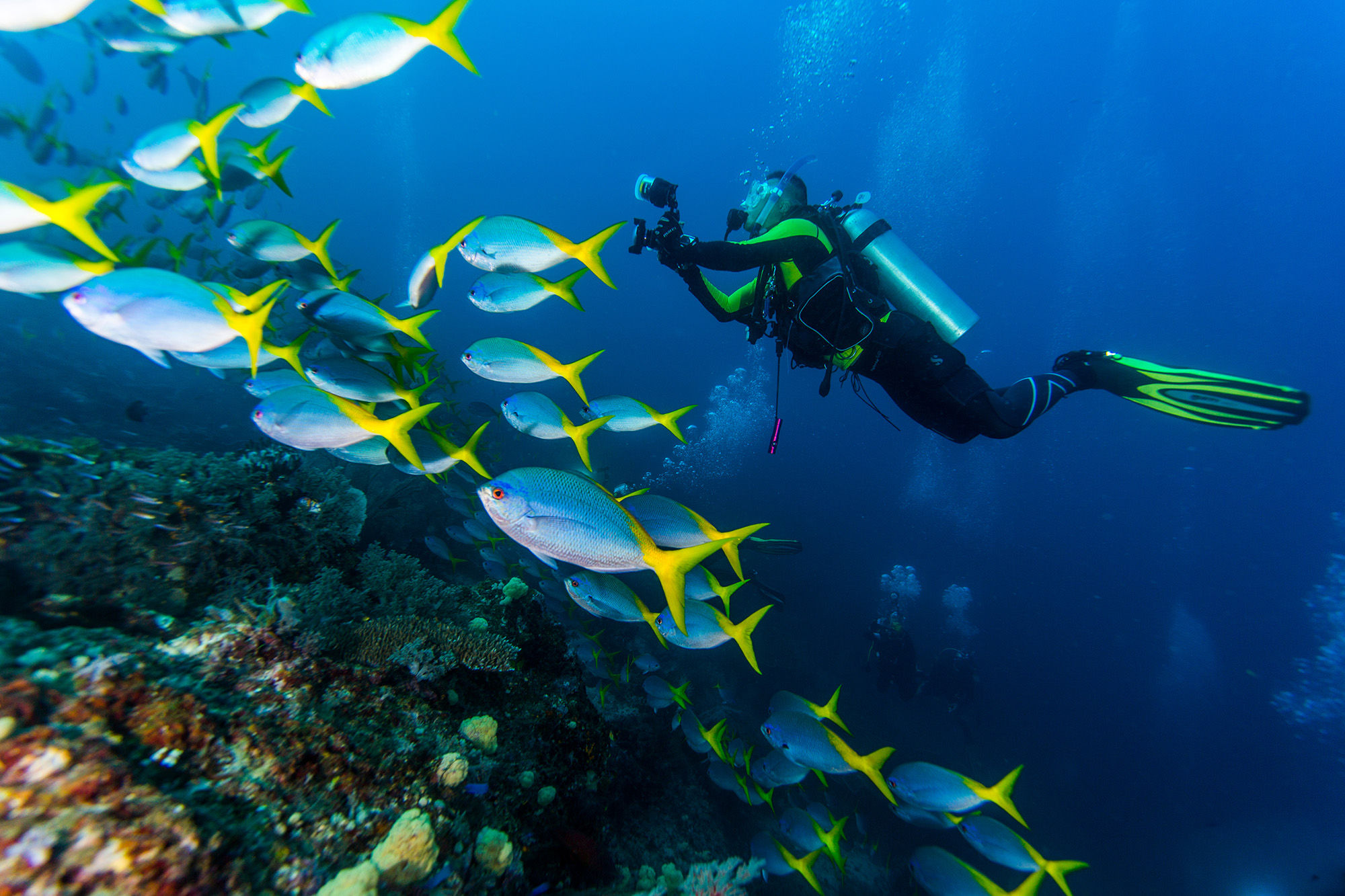 Underwater photographer in Raja Ampat