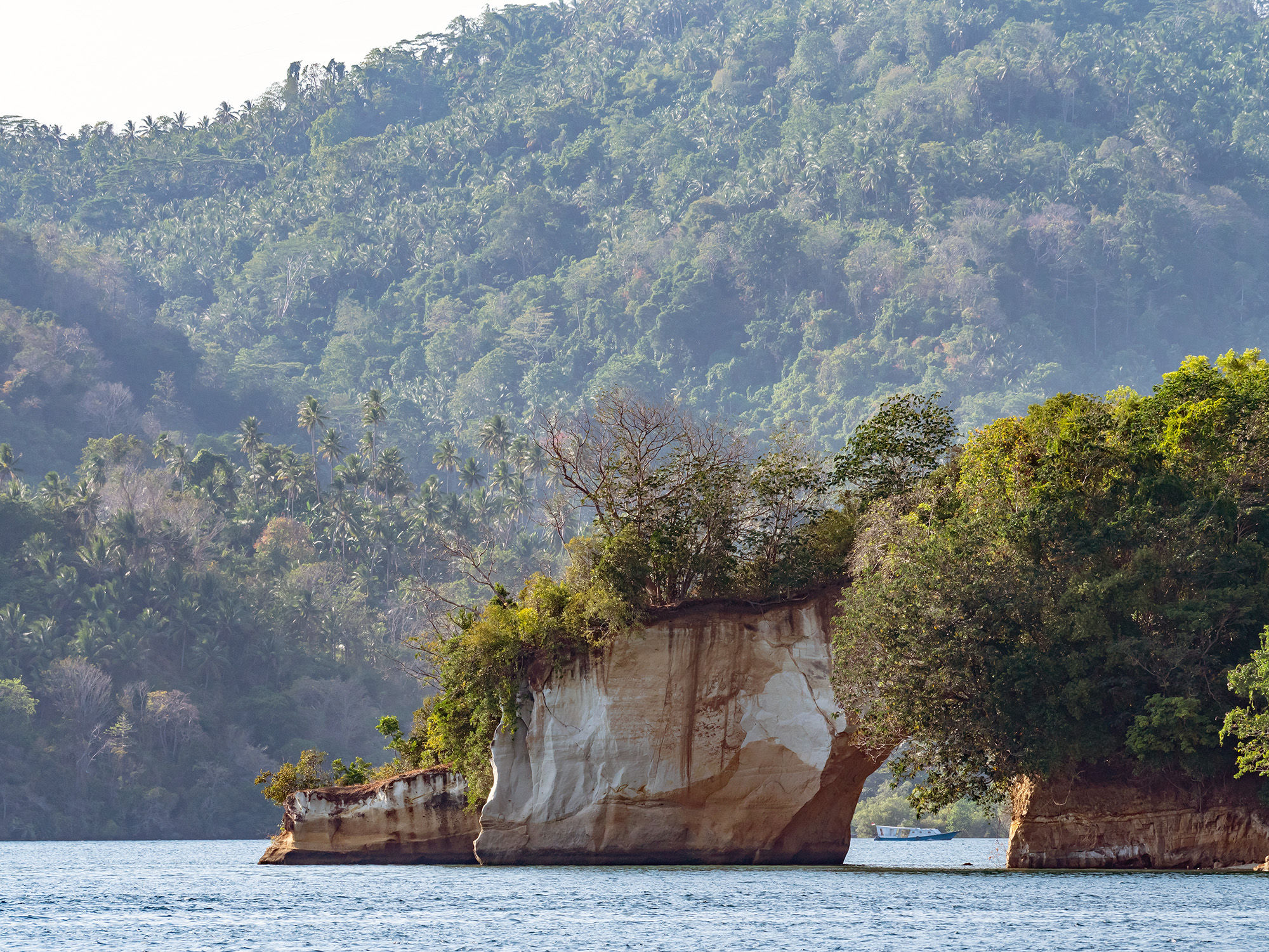 Lembeh Strait, Indonesia
