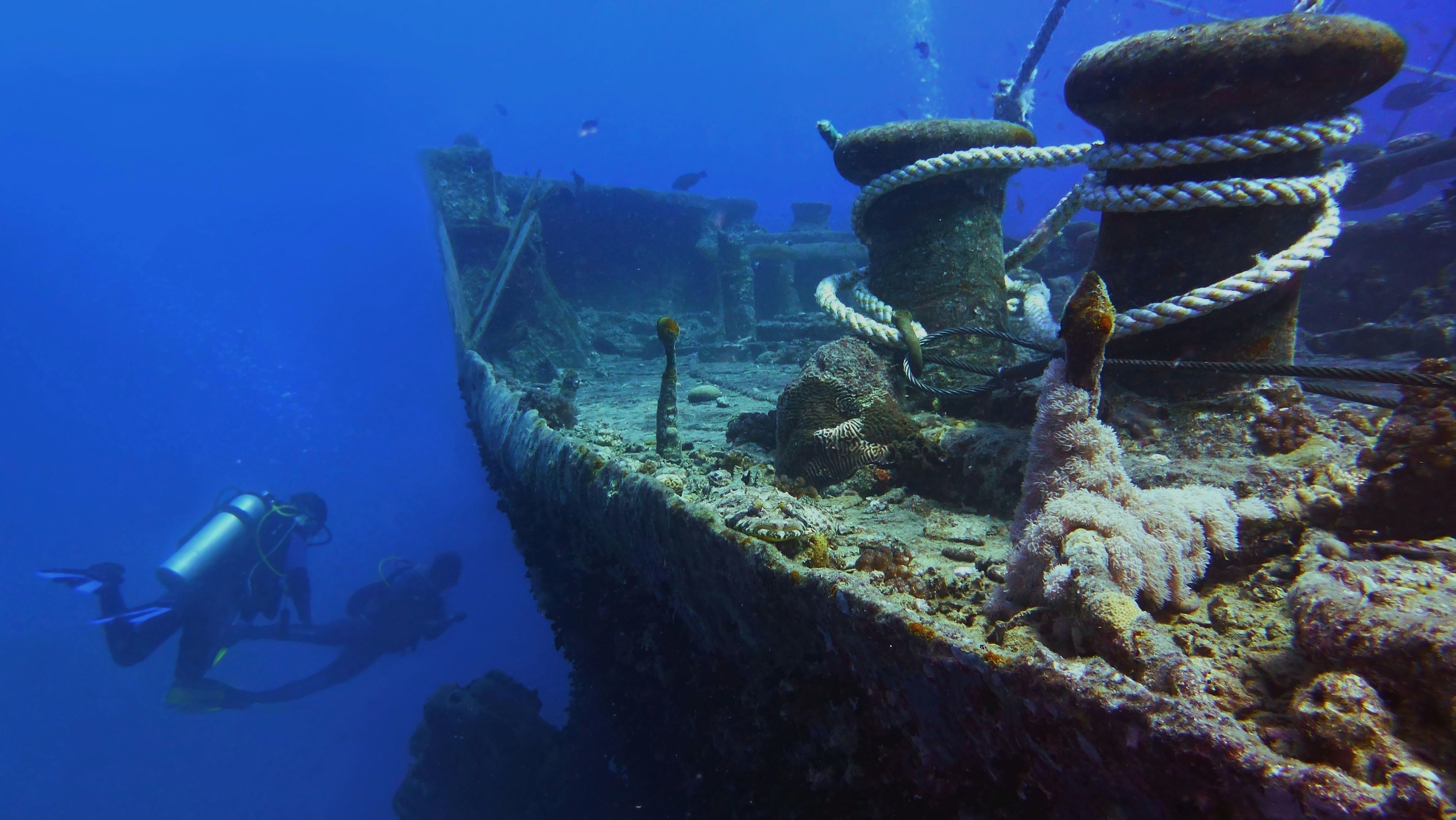 Thistlegorm Wreck, in the Red Sea