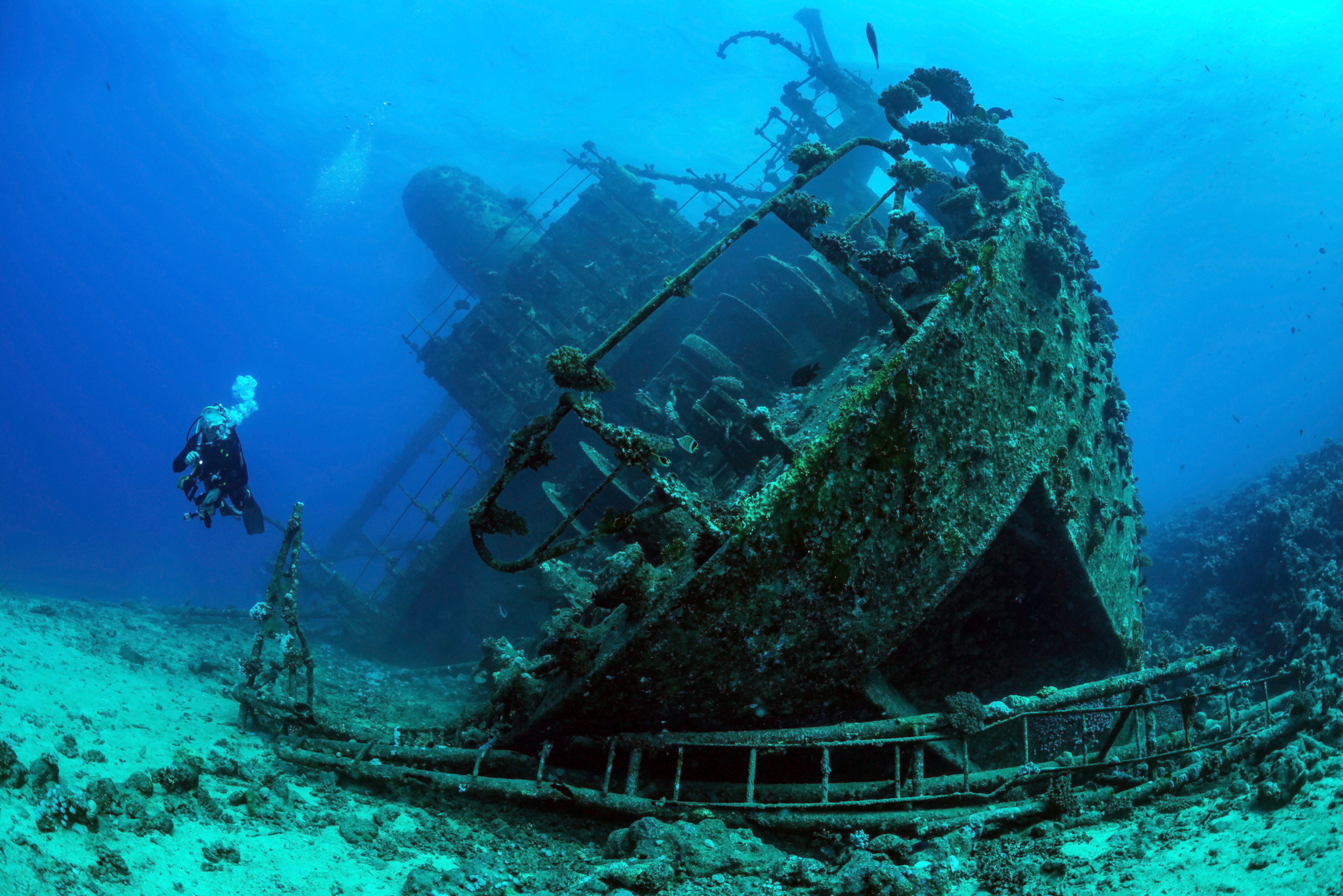 The Giannis D. wreck in the Red Sea