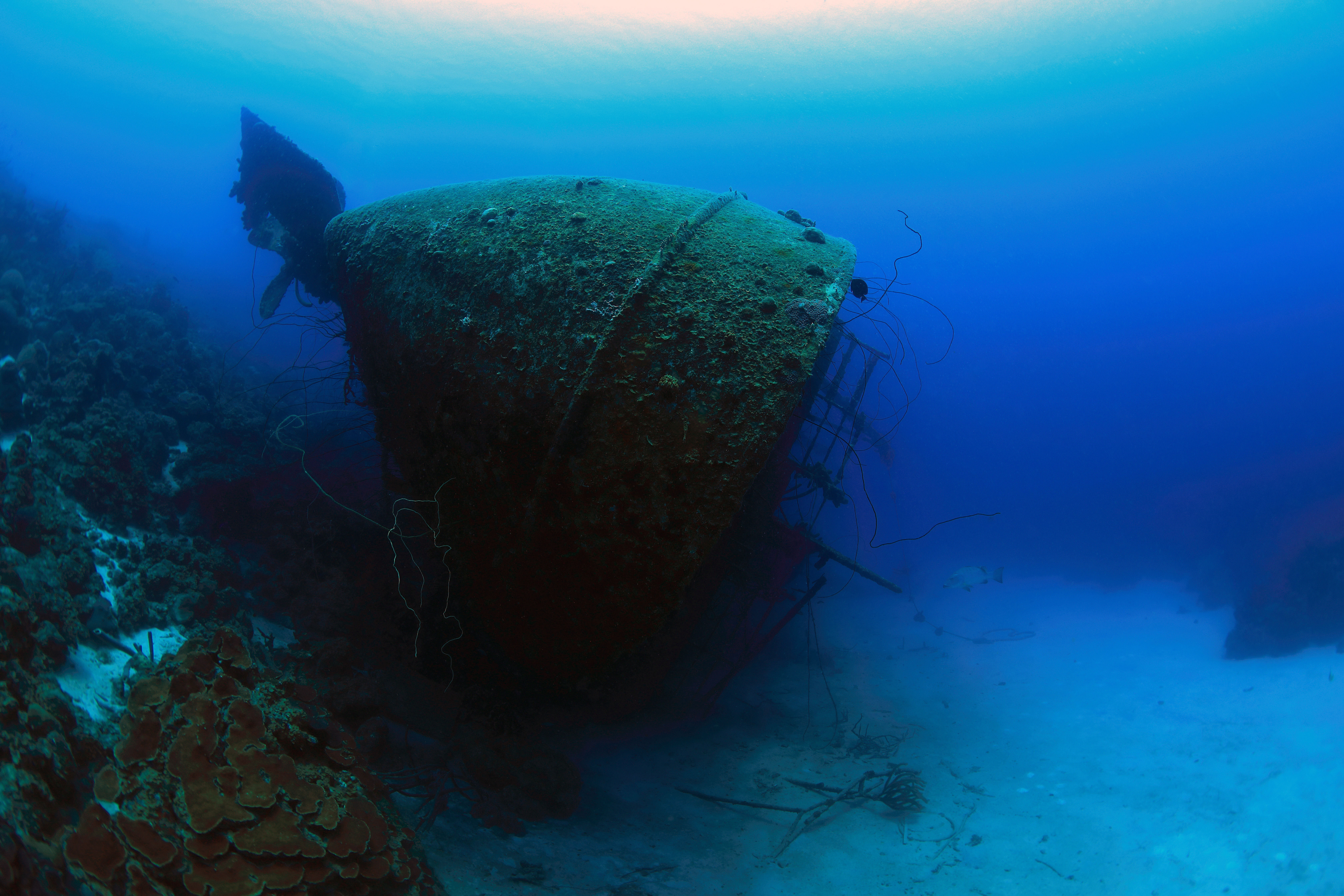 Hilma Hooker Wreck 001