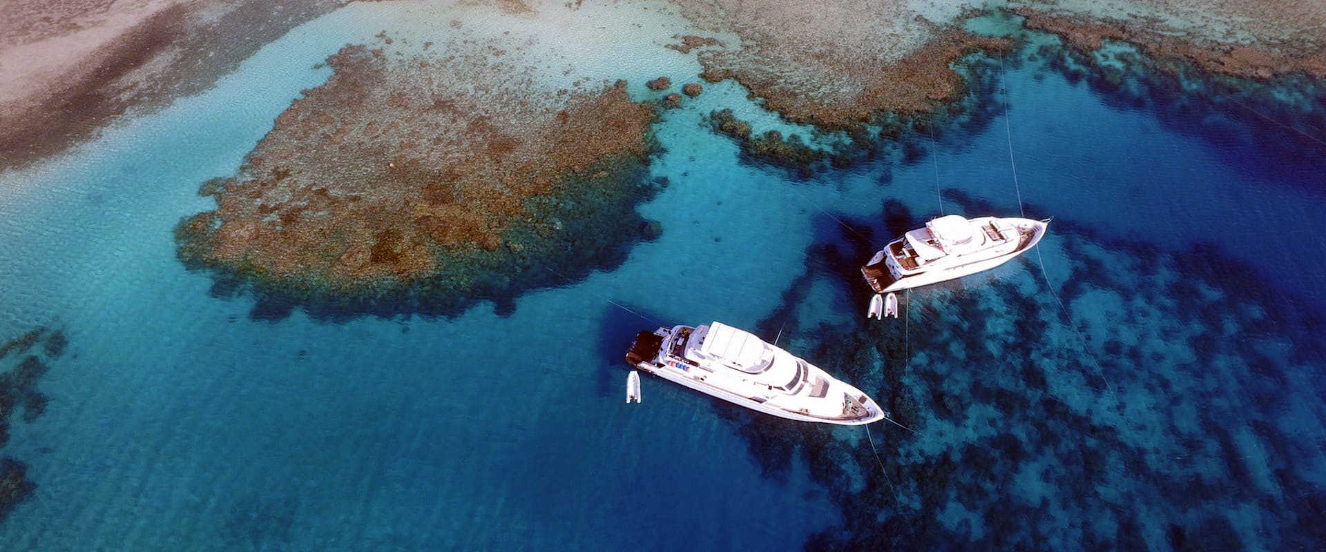 Blue Planet Liveaboards
