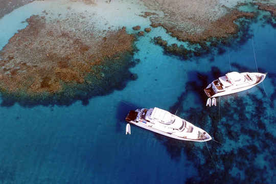 Blue Planet Liveaboards offers a range of dive vessels located in the Egyptian Red Sea