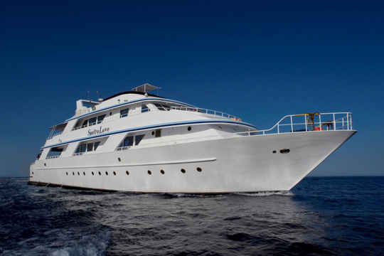 King Snefro Fleet boats take divers to the best areas for diving in the famous Red Sea, Egypt