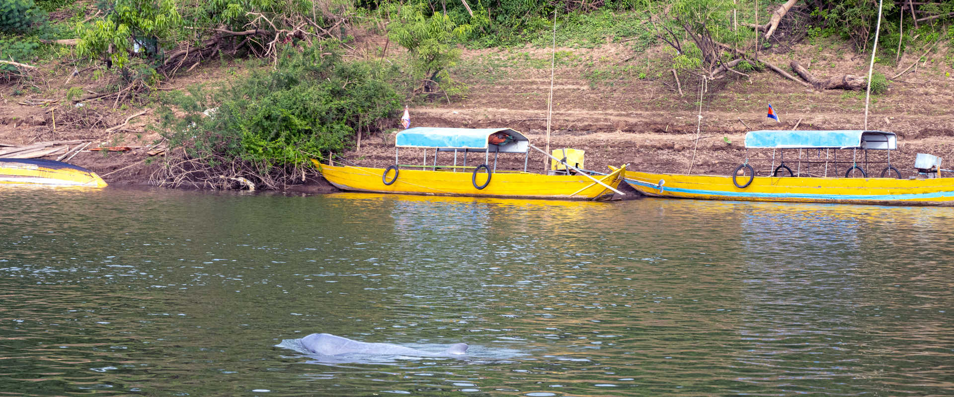 Kampi River Cruises