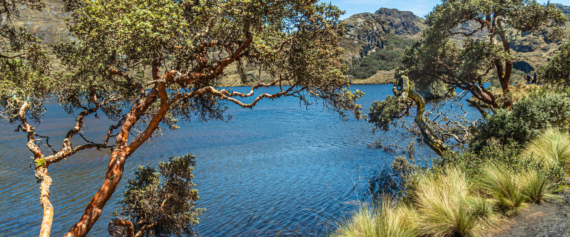 River Cruises in Ecuadorian National Park