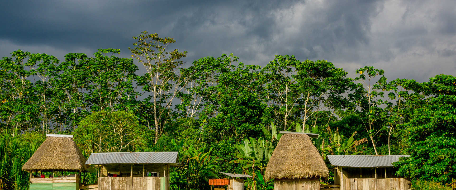 River Cruises in Yasuni National Park