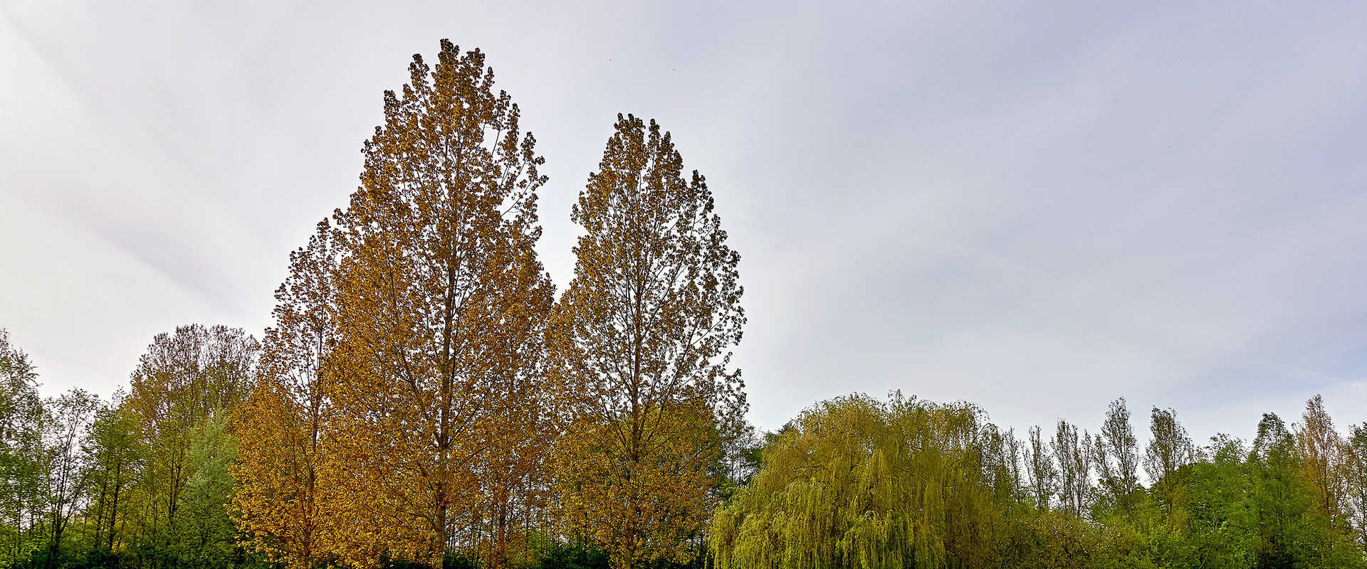 Crociere fluviali ad Anderten