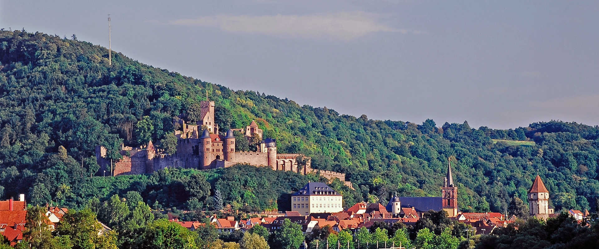 River Cruises in Wertheim