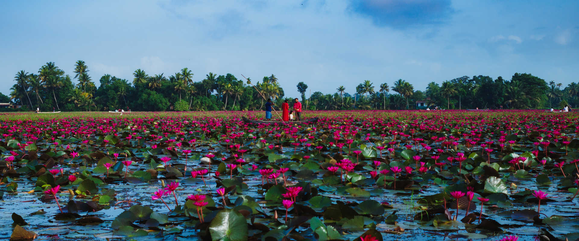 River cruises in Kottayam