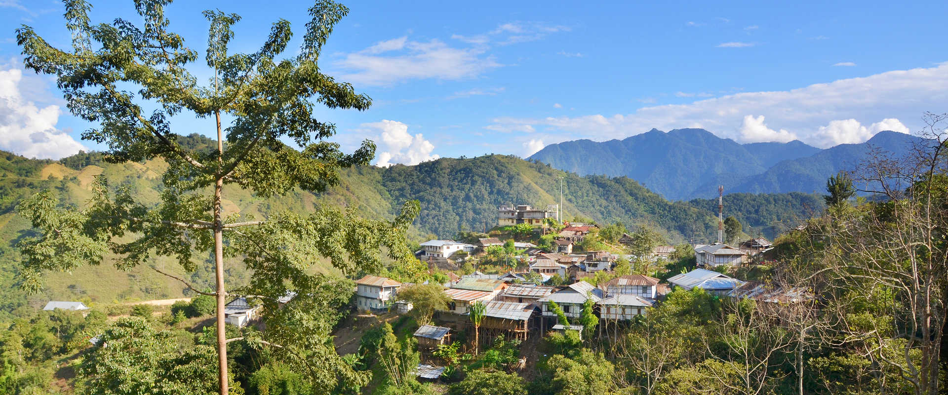 River Cruises through Mishing Villages