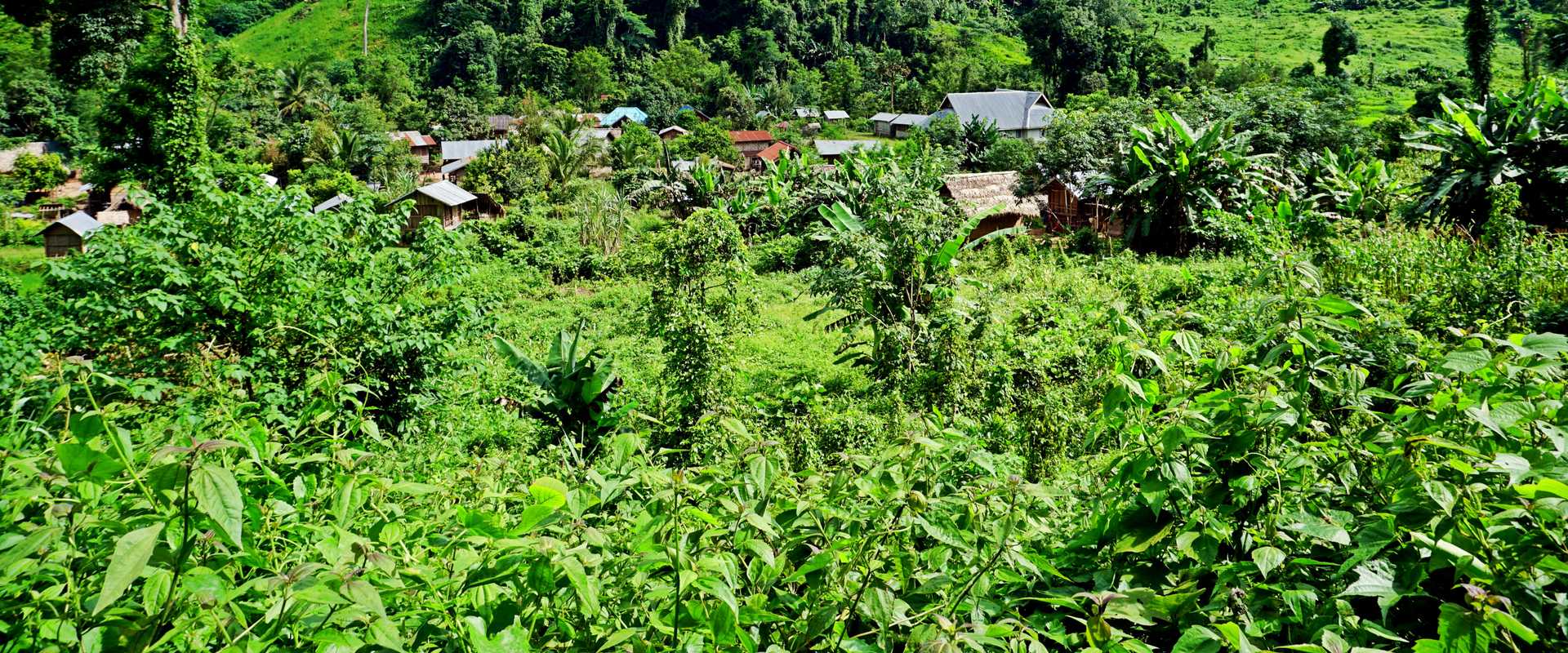 Croisières fluviales vers les villages de Khmu