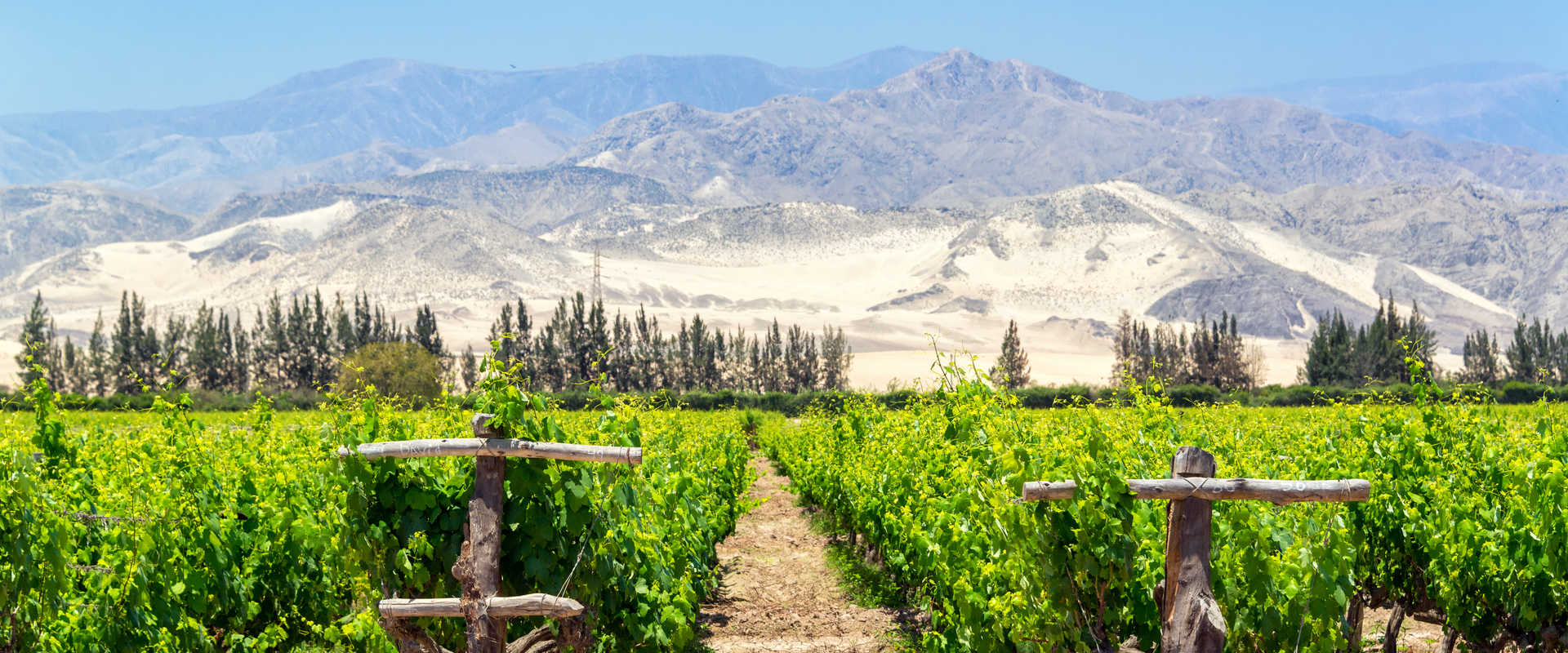 River Cruises in Pisco