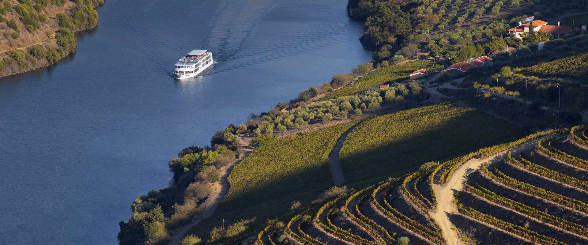 River Cruises in Foz Côa