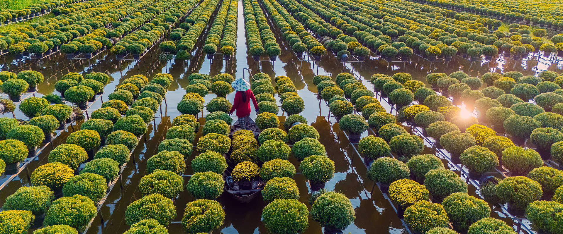 サッド・デクルーズ
