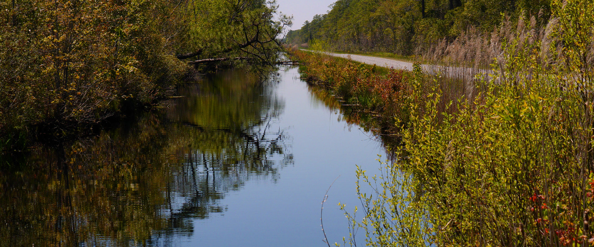 0 River cruises on the Alligator - LiveAboard.com