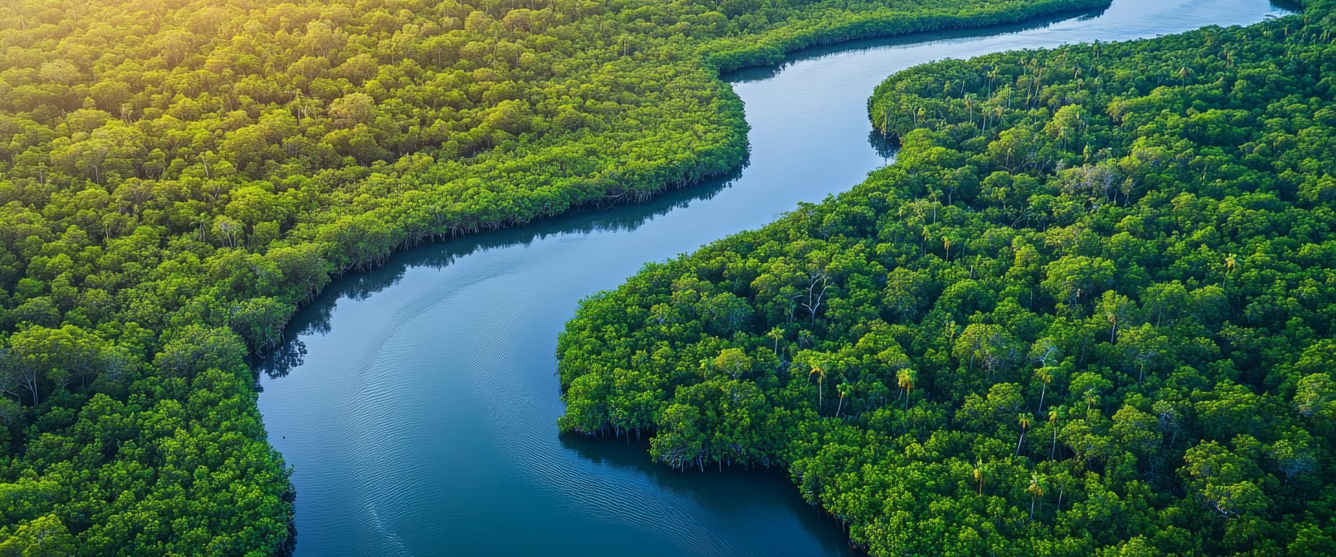0 River cruises on the Intracoastal Waterway - LiveAboard.com