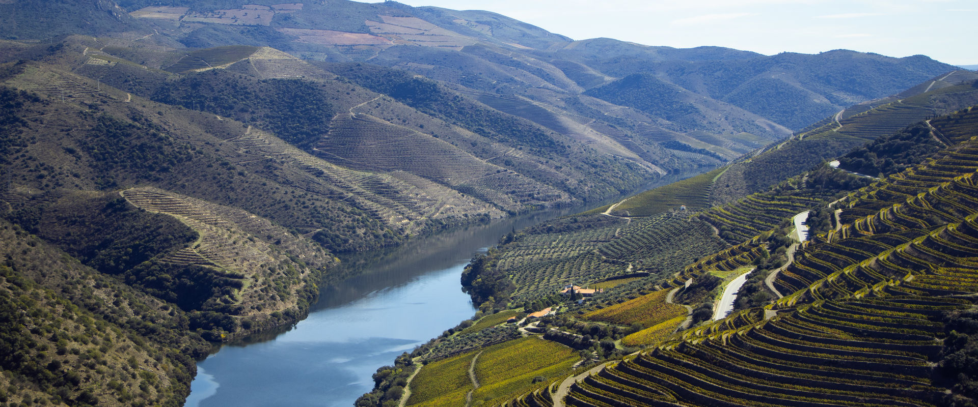 0 Cruise Ships in Douro - LiveAboard.com