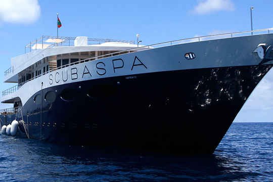 Scubaspa Fleet Liveaboards