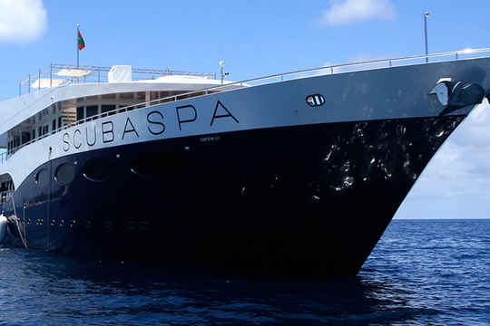 Enjoy luxury holidays aboard the Scubaspa Fleet in the Maldives and Indonesia