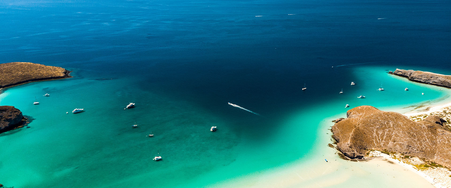 Adventure Cruise Ships in La Paz, Mexico - LiveAboard.com