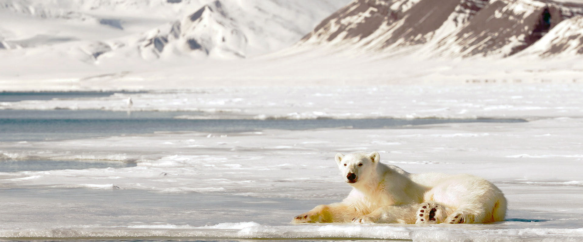 Spitsbergen Liveaboard Diving