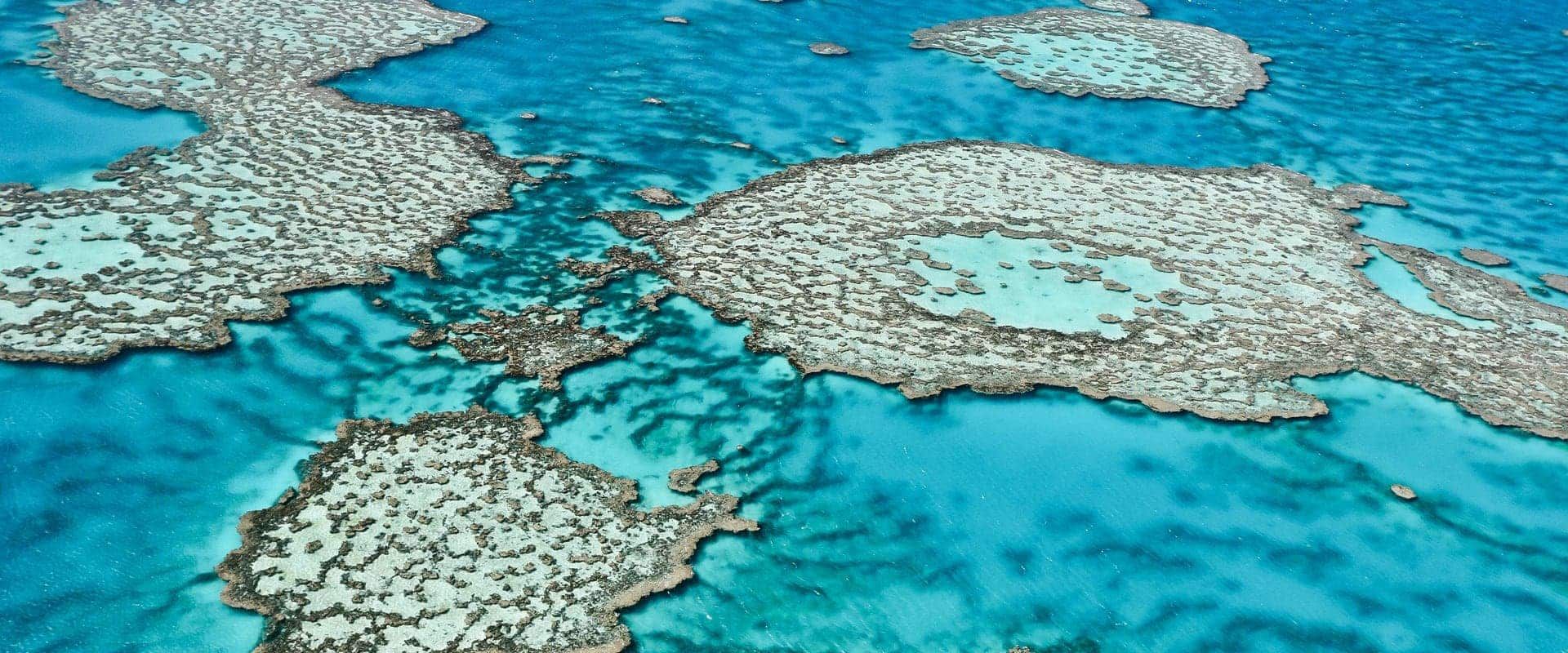 Croisière plongée sur la Grande Barrière de Corail