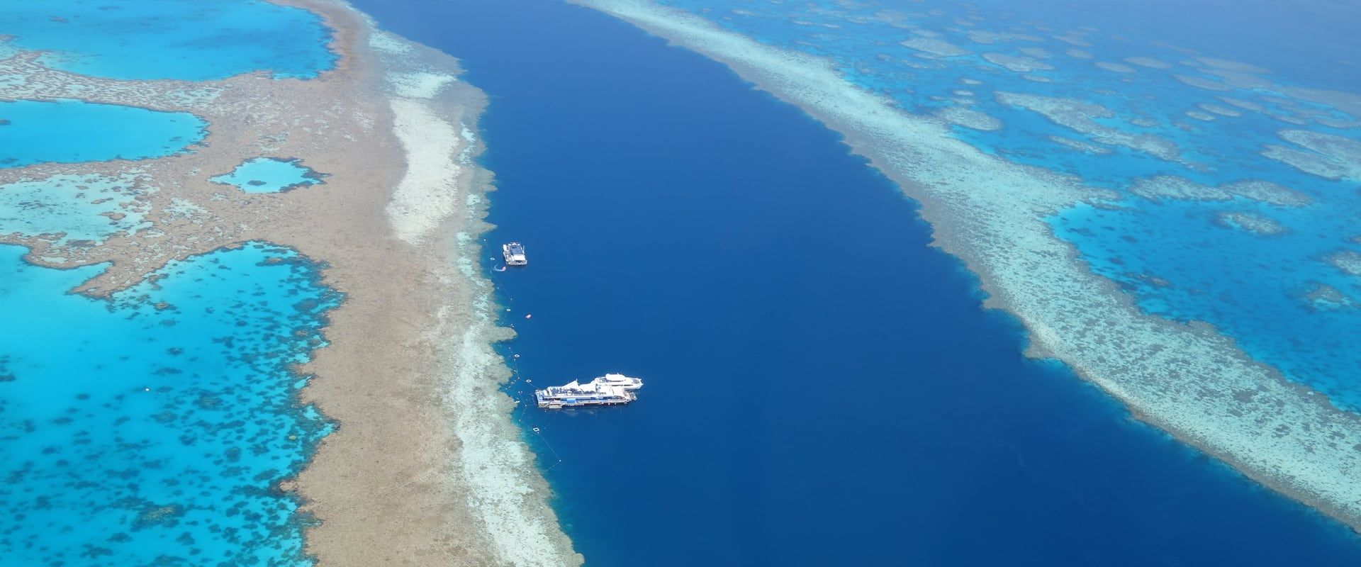 Mergulha na Grande Barreira de Coral ao vivo
