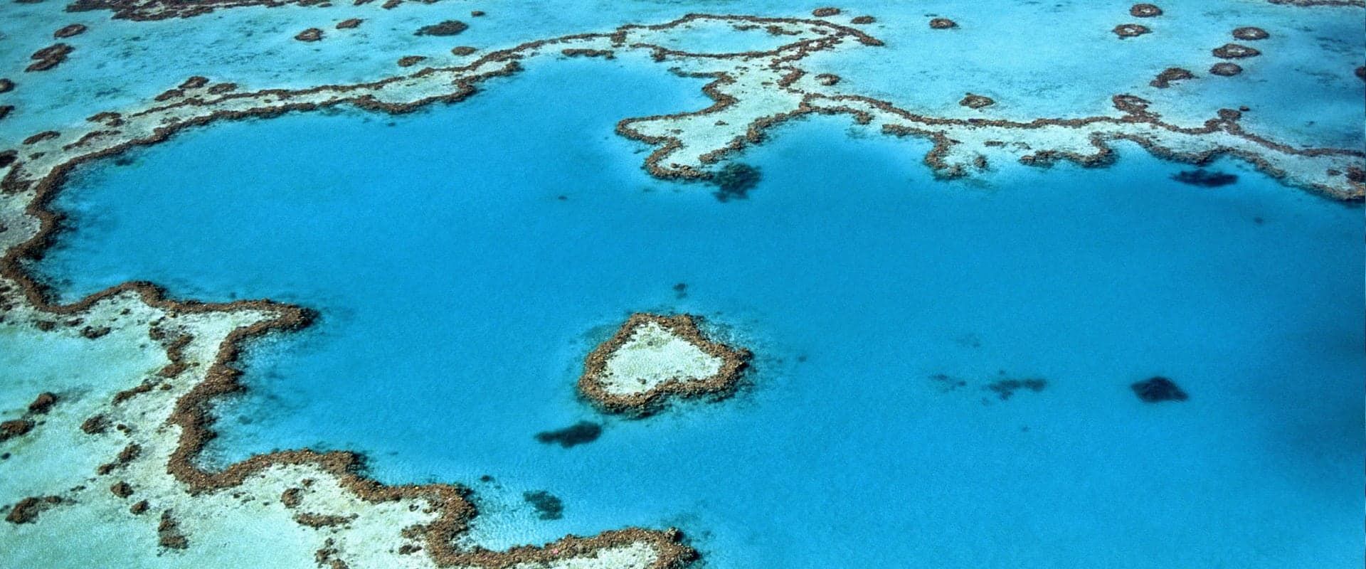 Coral Sea 리브어보드 다이빙