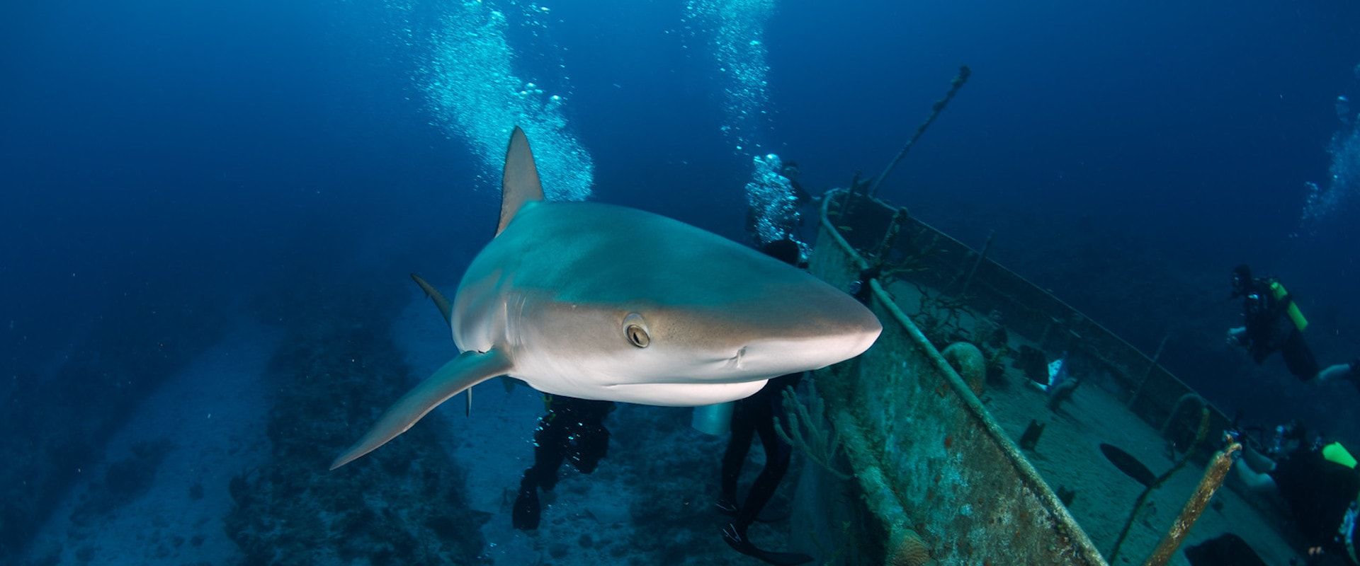Austin Smith Wrak Liveaboard Duiken