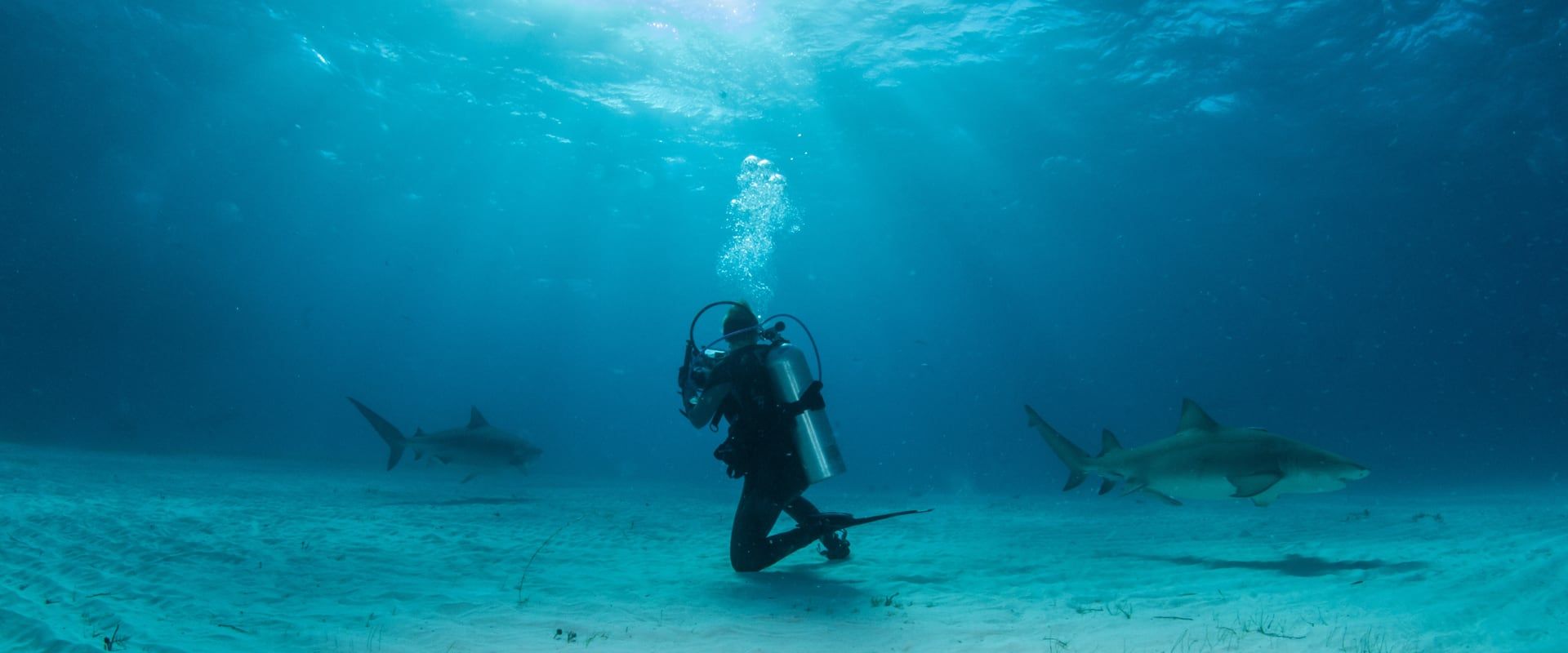 Exuma Cays Liveaboard Duiken