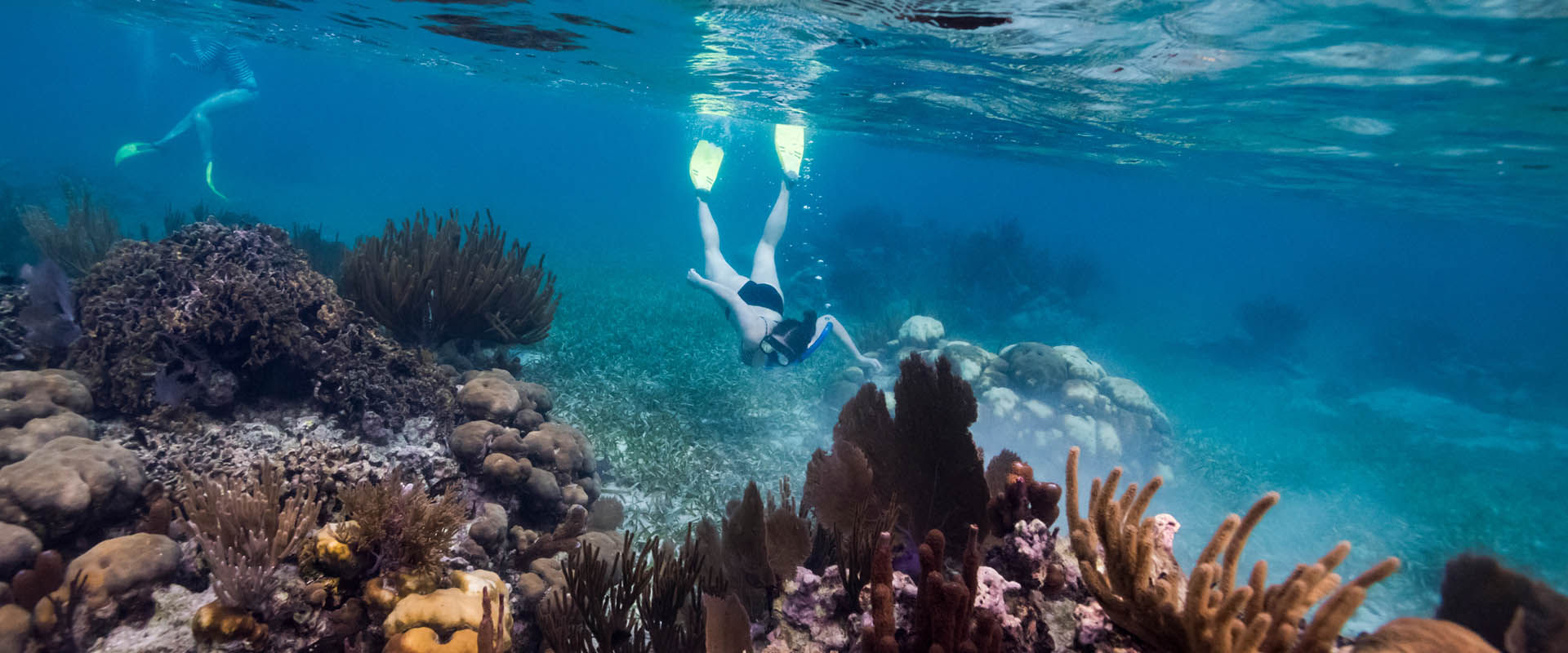 Turneffe Reef Liveaboard duiken
