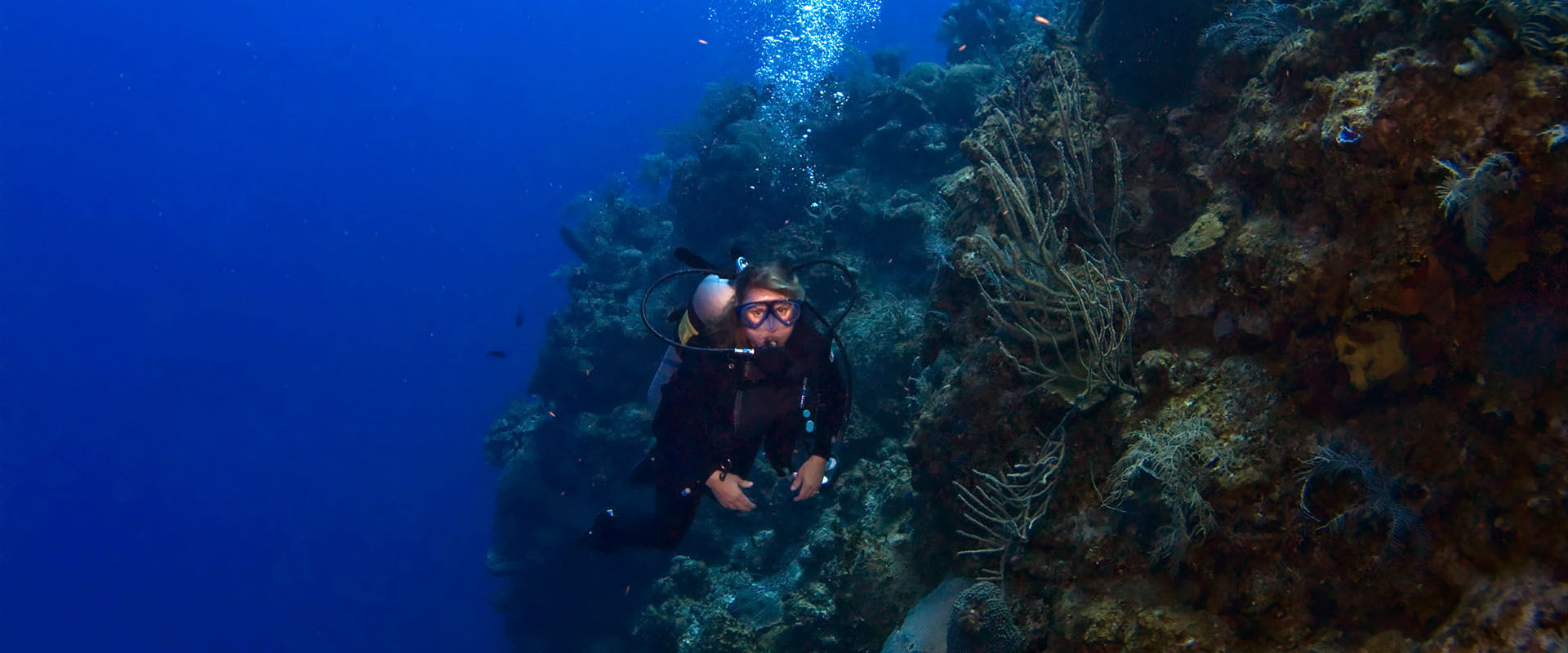 Cayman Brac 리브어보드 다이빙