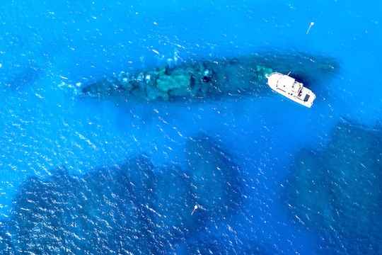 Cayman Inseln