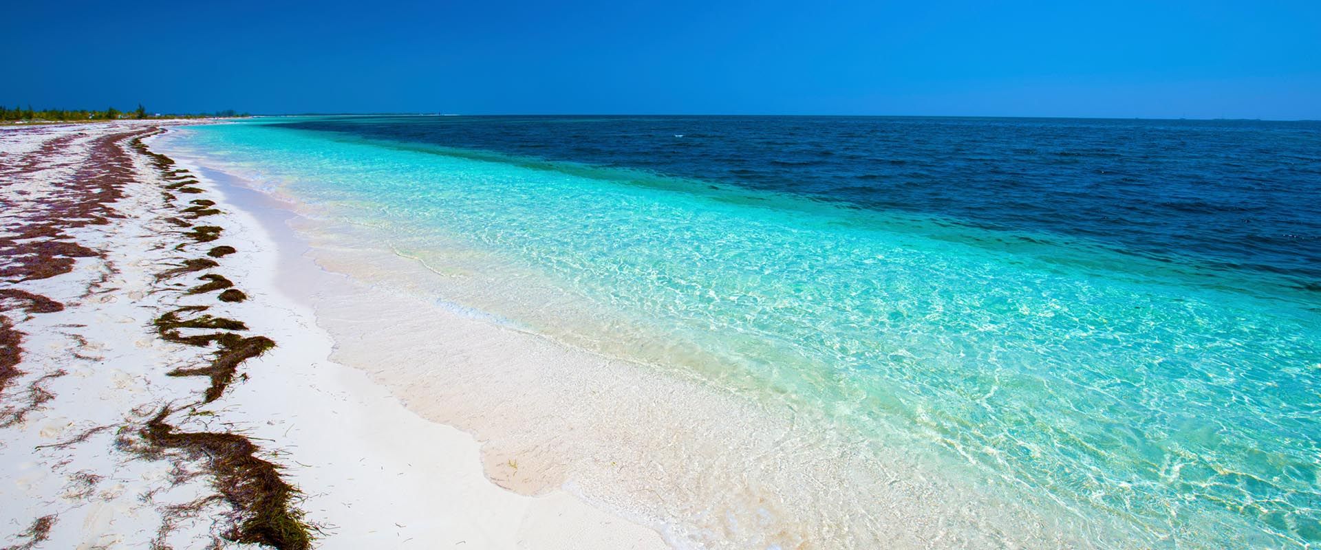 Arcipelago delle Canarie Crociere subacquee
