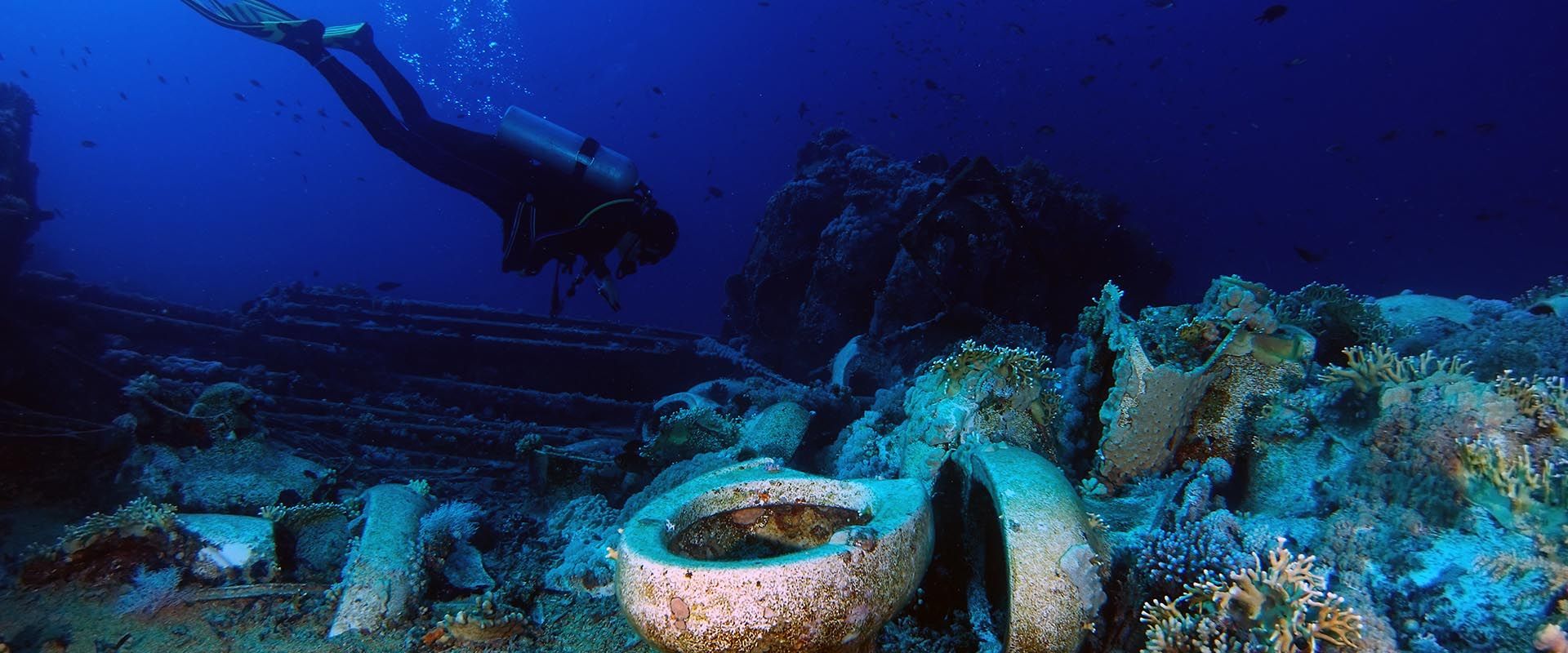 Buceo en vida a bordo en los arrecifes Shark y Yolanda
