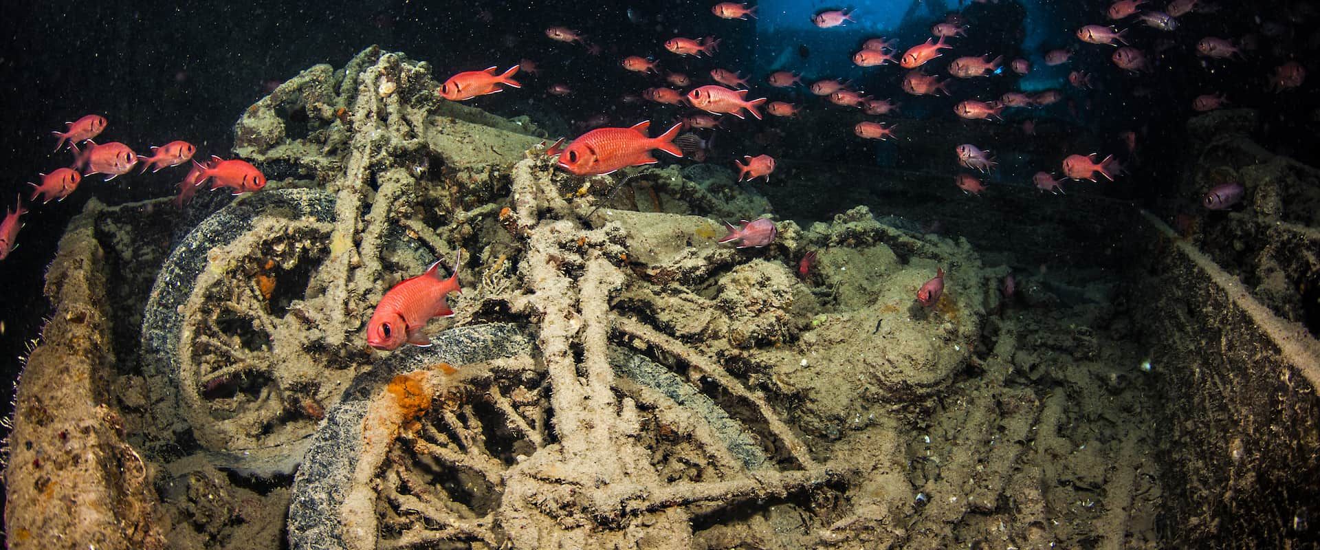 Thistlegorm Liveaboard Diving