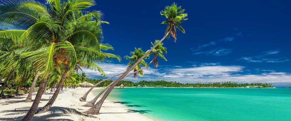 Browse Diving Liveaboard in Fiji with December, 2027 Departures