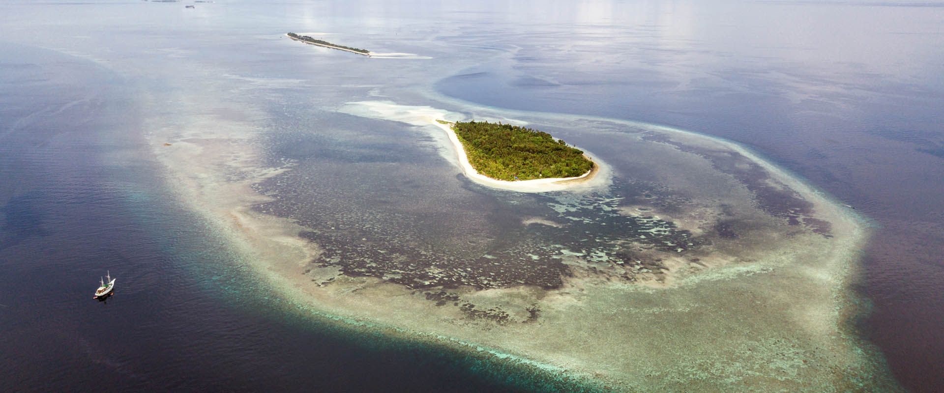 Koon Island Tauchsafari Tauchen