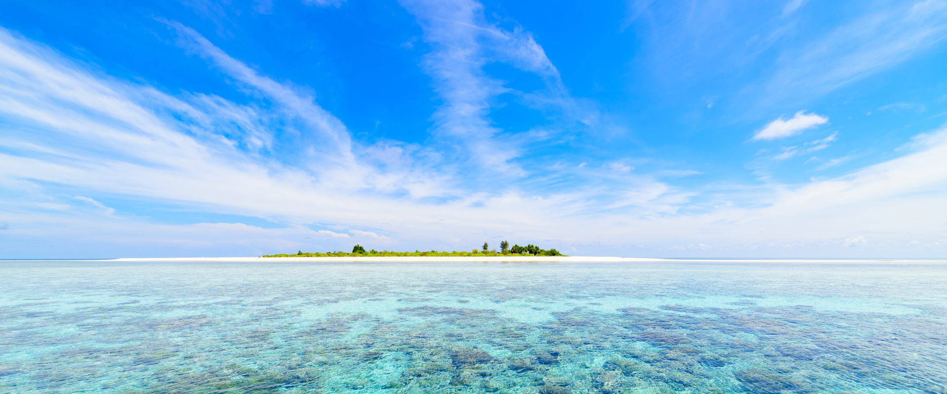 Cruzeiros de mergulho em Wakatobi